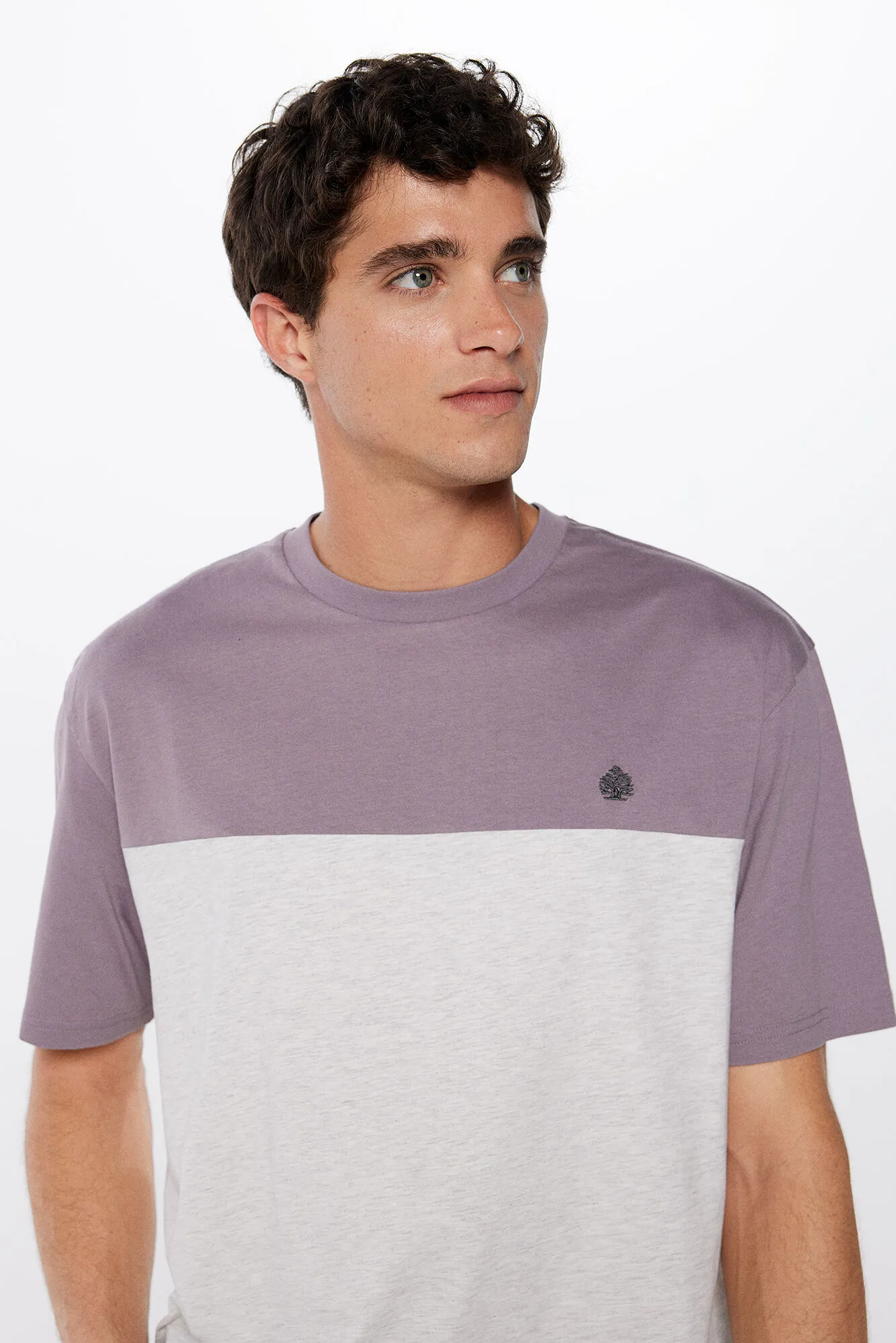 Camiseta color block