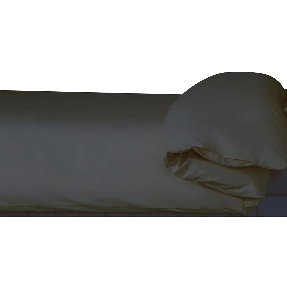 Double BM102